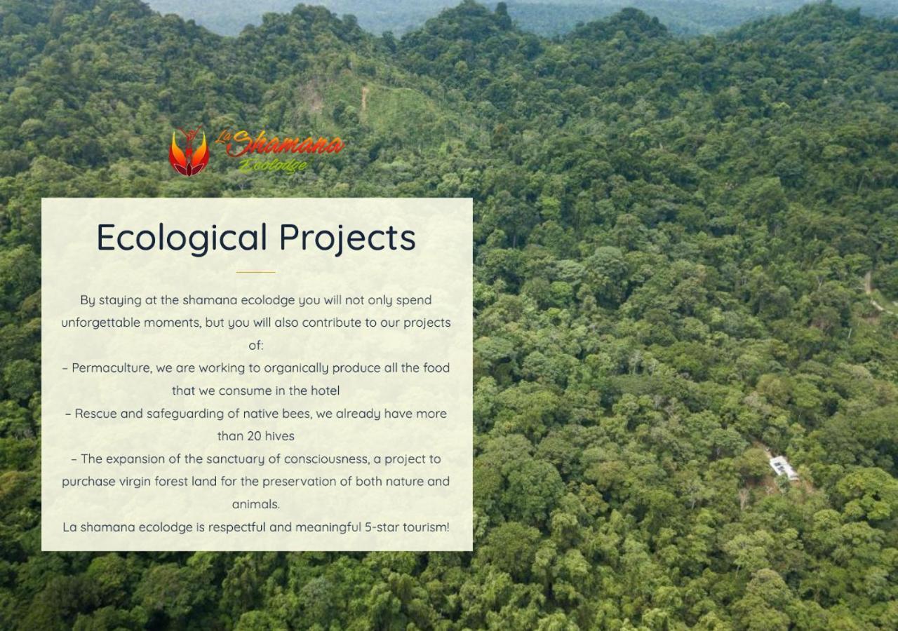 La Shamana - Ecological Concept In Jungle Βίλα Cahuita Εξωτερικό φωτογραφία