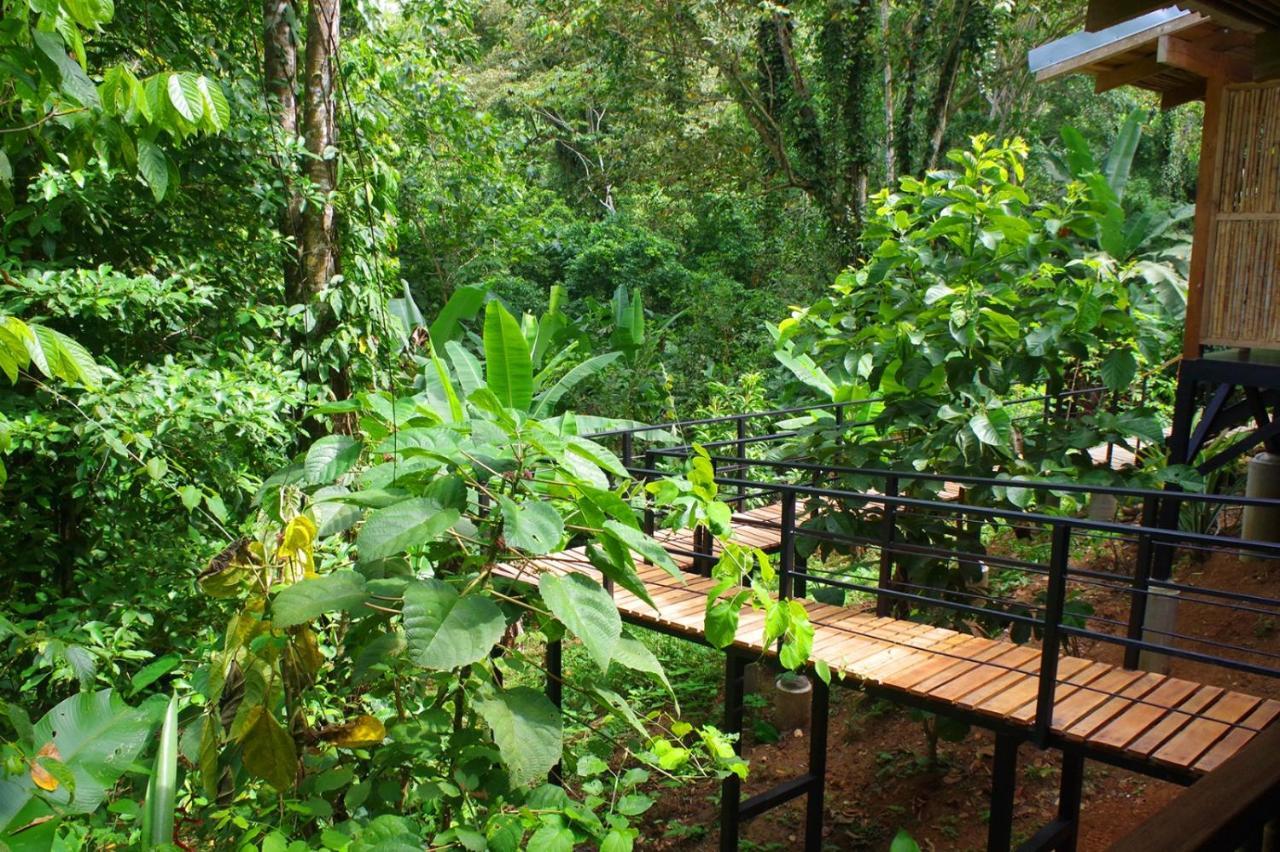 La Shamana - Ecological Concept In Jungle Βίλα Cahuita Εξωτερικό φωτογραφία