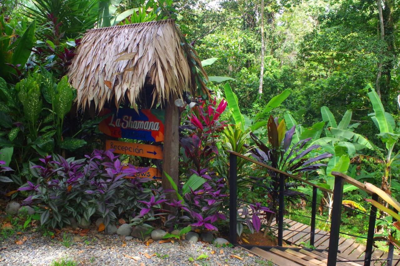 La Shamana - Ecological Concept In Jungle Βίλα Cahuita Εξωτερικό φωτογραφία