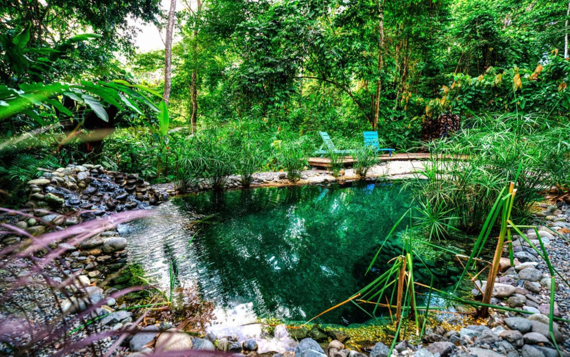 La Shamana - Ecological Concept In Jungle Βίλα Cahuita Εξωτερικό φωτογραφία