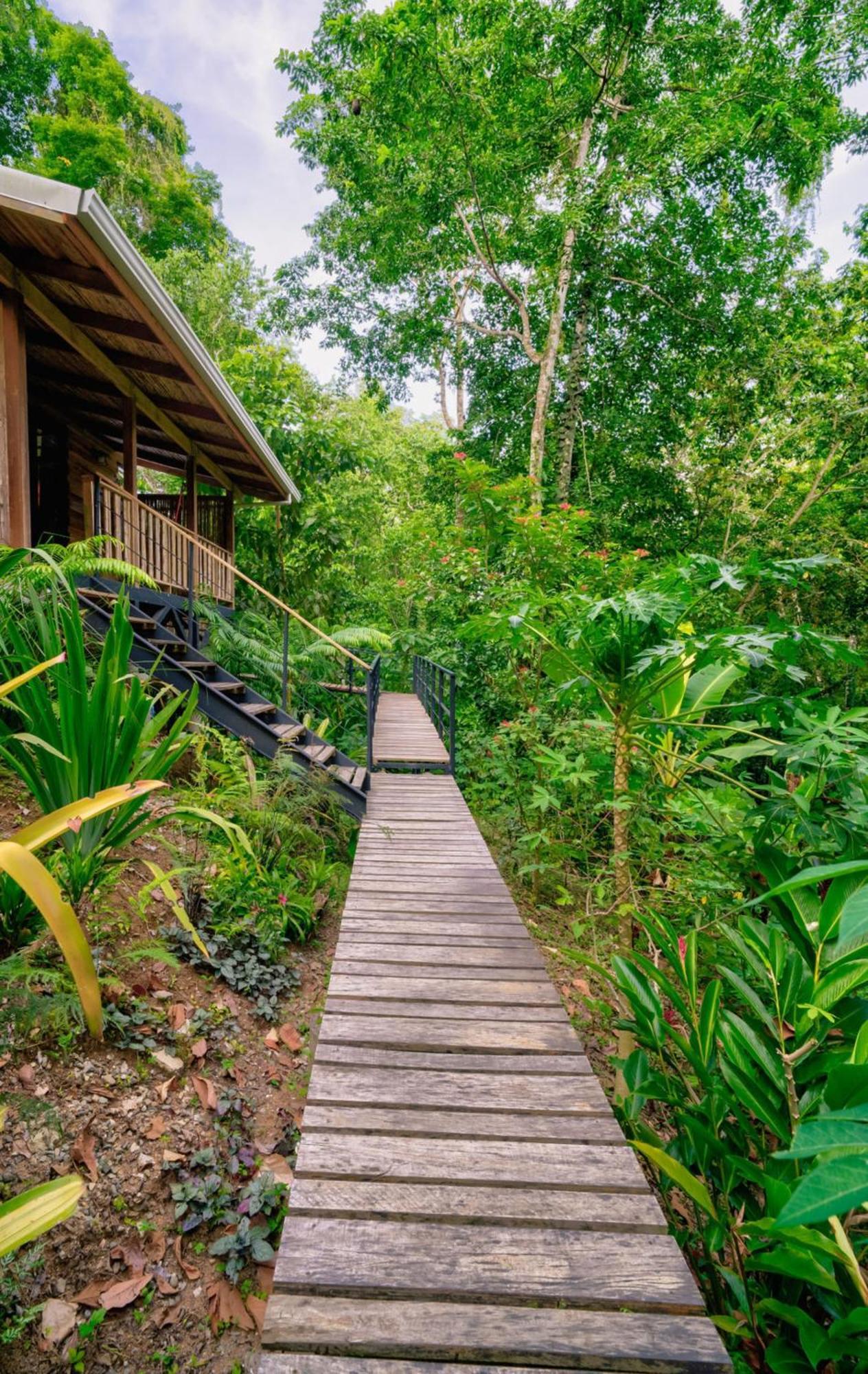 La Shamana - Ecological Concept In Jungle Βίλα Cahuita Εξωτερικό φωτογραφία