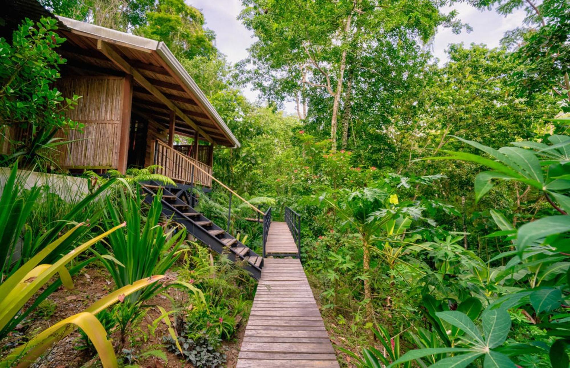 La Shamana - Ecological Concept In Jungle Βίλα Cahuita Δωμάτιο φωτογραφία