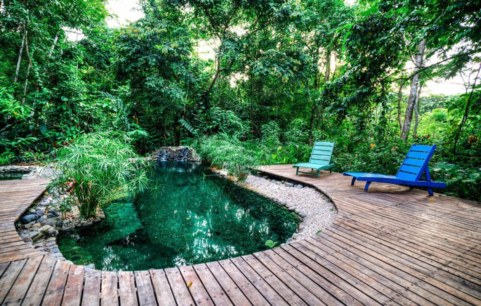 La Shamana - Ecological Concept In Jungle Βίλα Cahuita Εξωτερικό φωτογραφία