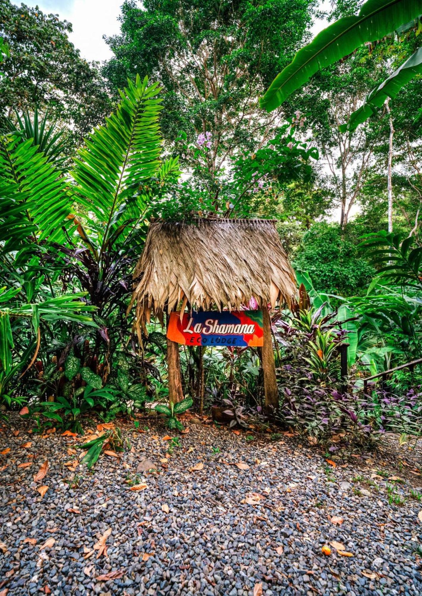 La Shamana - Ecological Concept In Jungle Βίλα Cahuita Εξωτερικό φωτογραφία