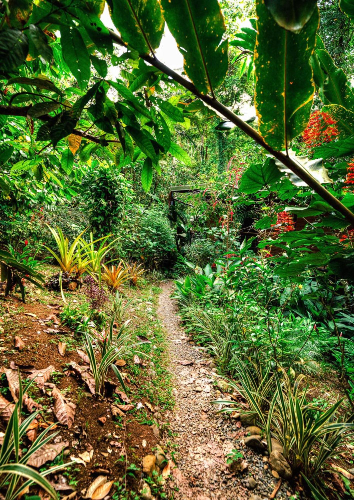 La Shamana - Ecological Concept In Jungle Βίλα Cahuita Εξωτερικό φωτογραφία