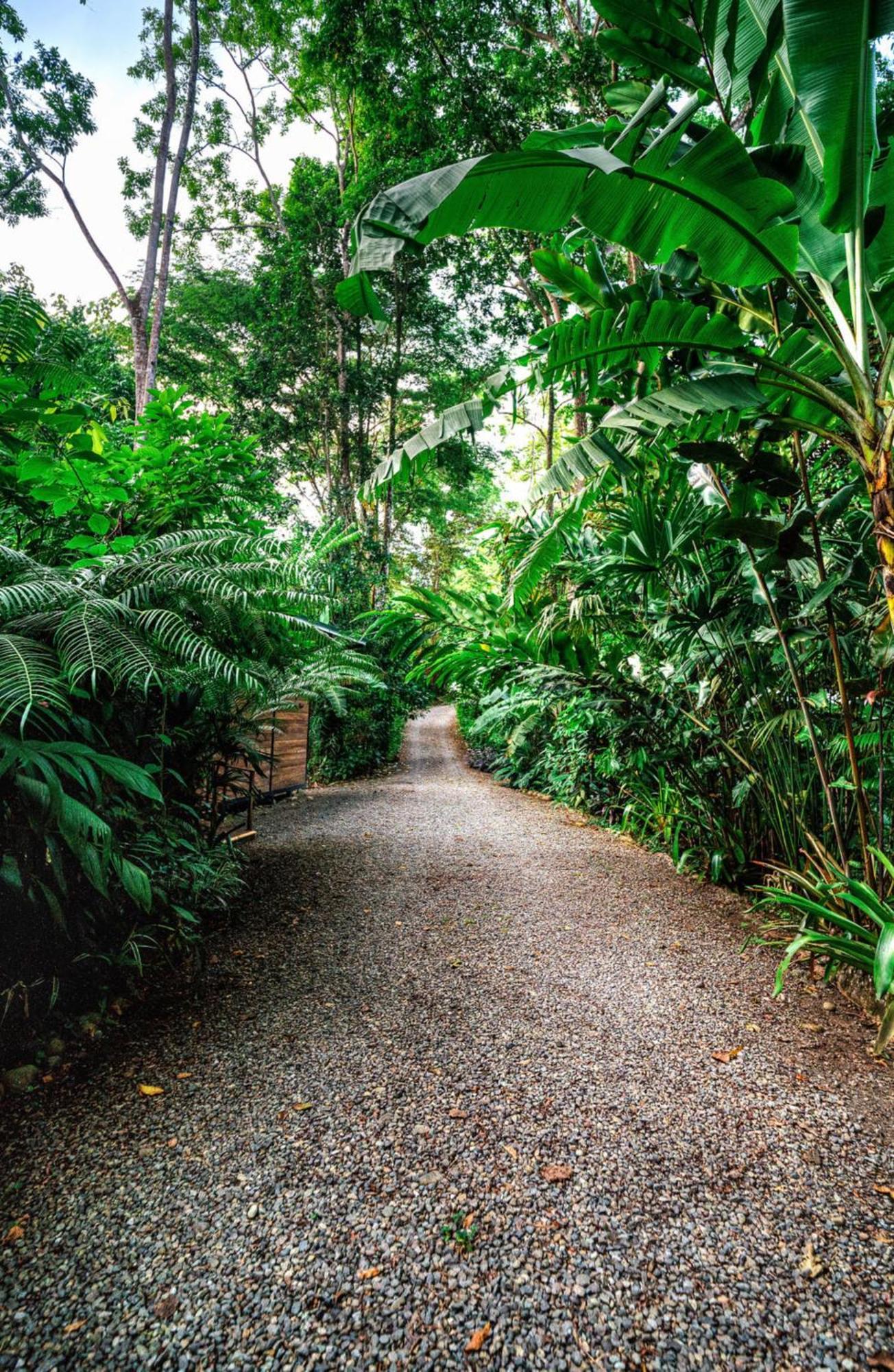 La Shamana - Ecological Concept In Jungle Βίλα Cahuita Εξωτερικό φωτογραφία