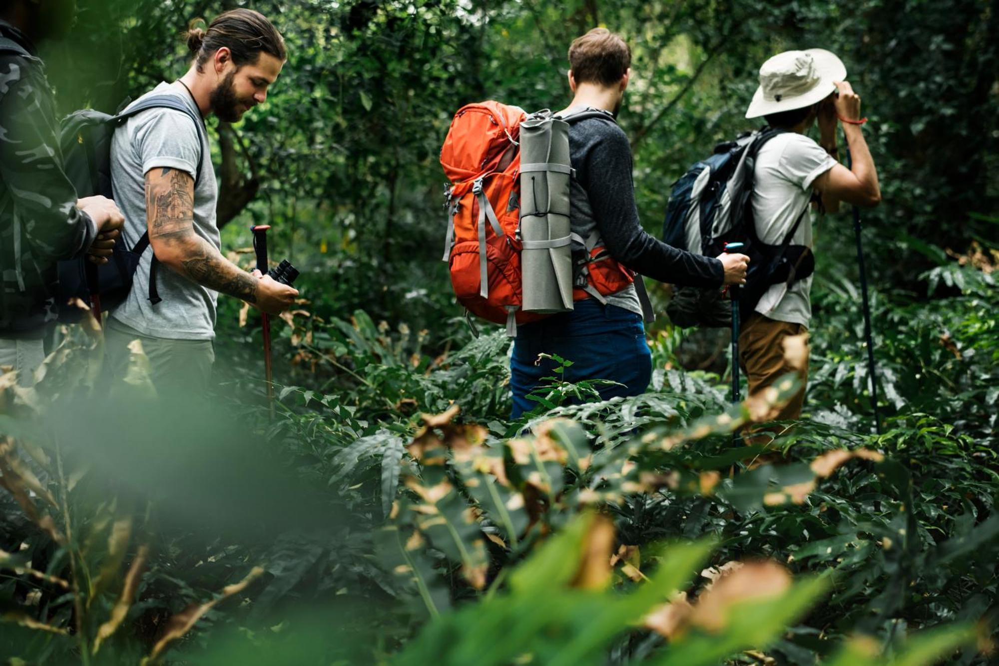 La Shamana - Ecological Concept In Jungle Βίλα Cahuita Εξωτερικό φωτογραφία